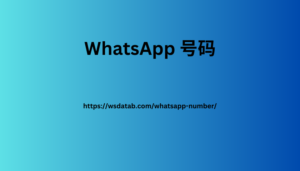 WhatsApp 号码 